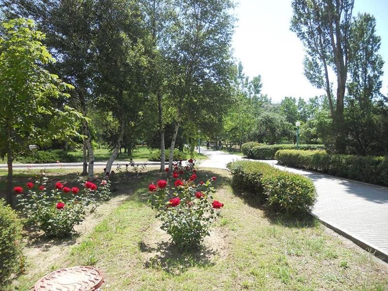 Прибой пансионат суреті