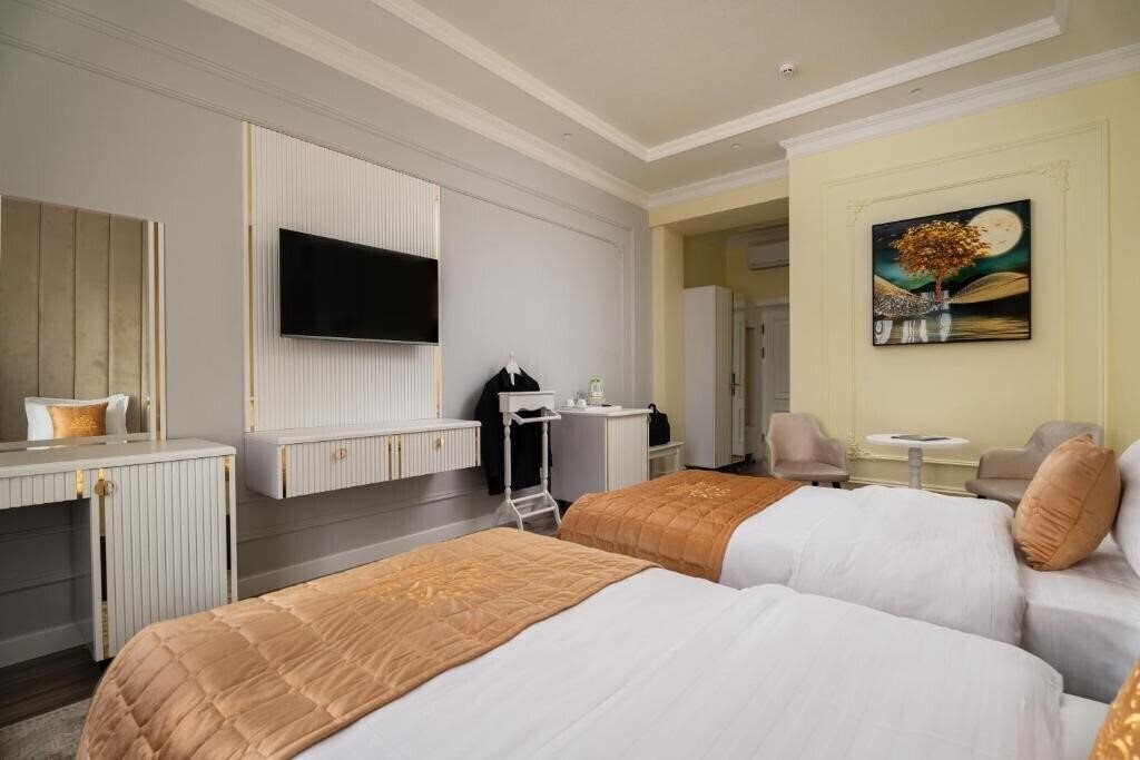 Bogishamol Hotel Samarkand 3* суреті