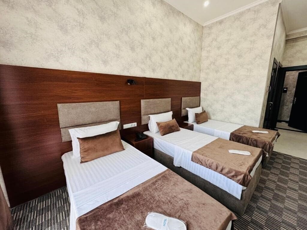 Arda Plaza 3* суреті