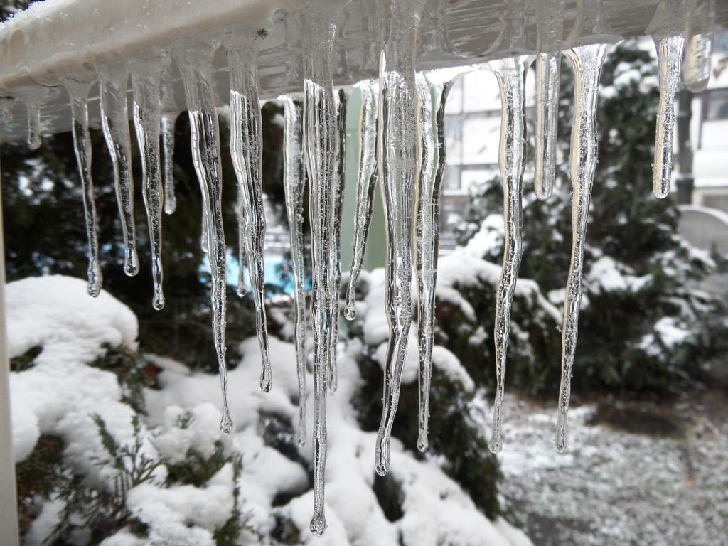 Картинка Csaszar 3*