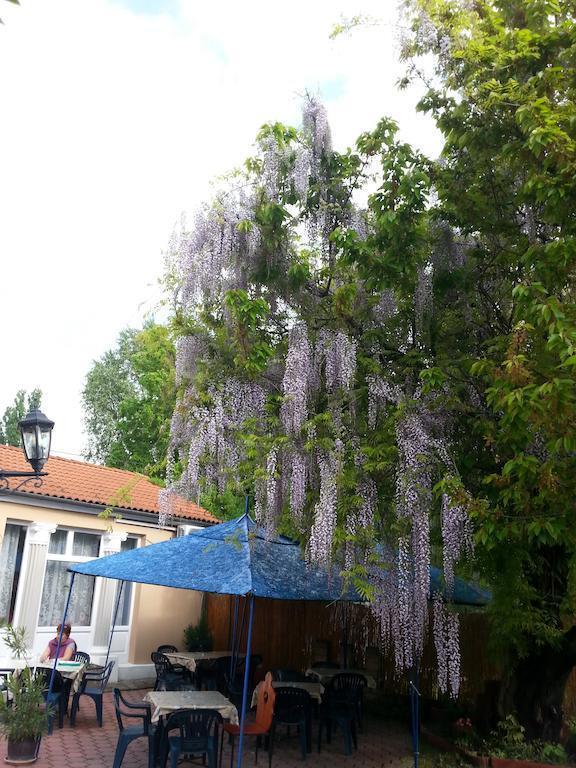 Фото Attila Hotel 3*