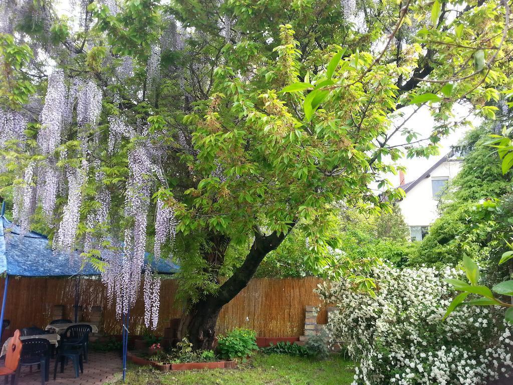 Отель Attila Hotel 3*