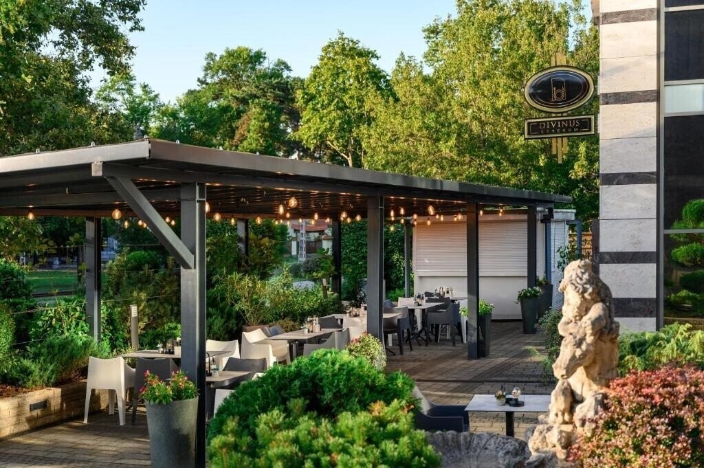 Divinus 4* суреті