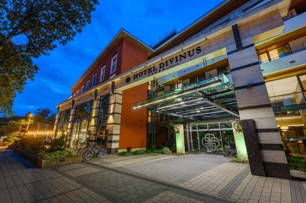 Divinus 4* суреті