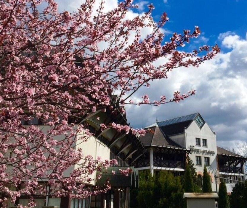 Фотография Hunguest Flora 3*