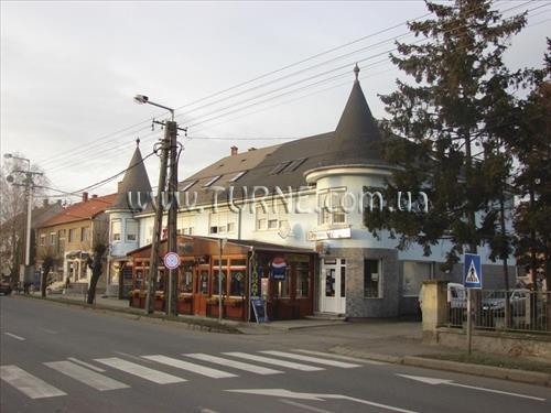 Wolf Panzio 3* суреті