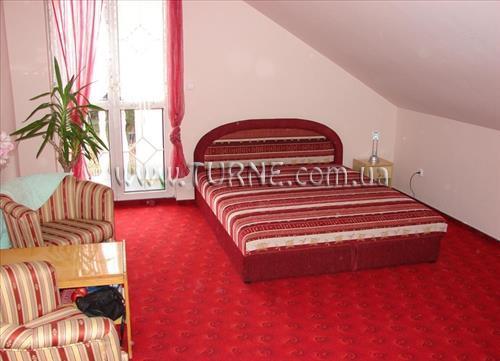 Wolf Panzio 3* фотосуреті