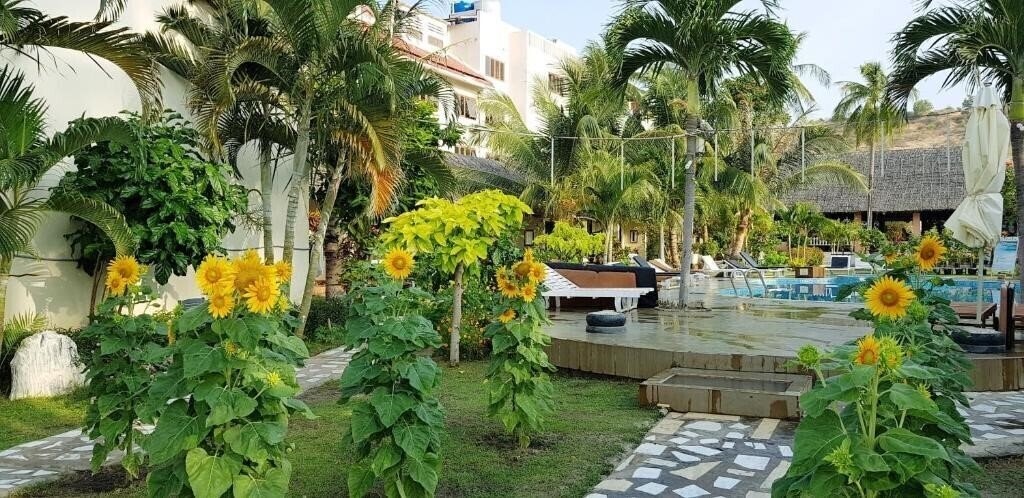 Фотография Sun & Sand Beach Hotel 3*