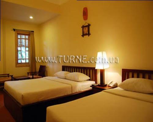 Novela 3* суреті