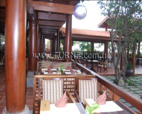 Novela 3* суреті