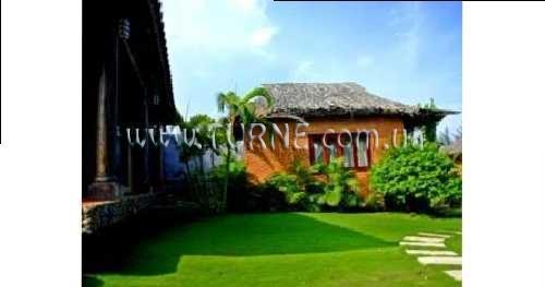 Фото Hana Beach Resort & SPA 3*