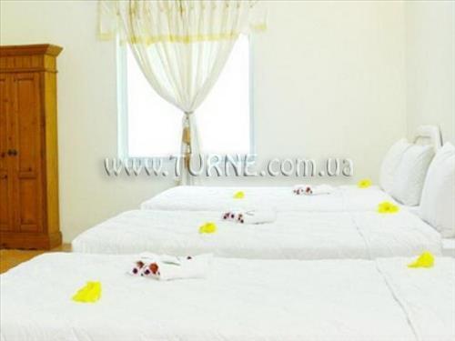 Apricot Resort 3* фотосуреті