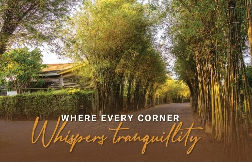 Shells Resort And Spa 5* суреті