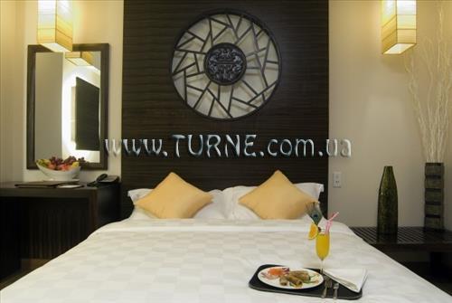 Serenade 3* суреті