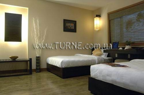 Serenade 3* суреті