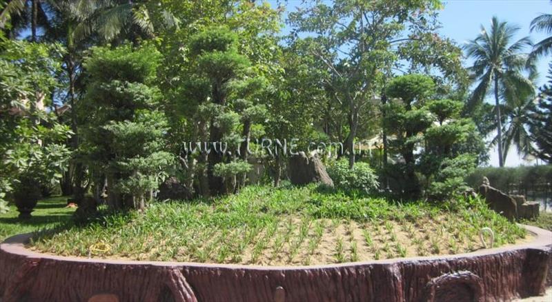 Hoi An Riverside 4* суреті