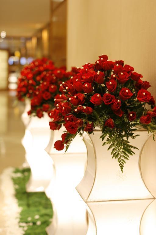 New World 5* фотосуреті