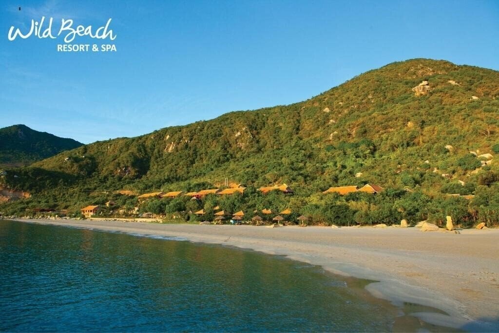 Отель Wild Beach Resort 4*