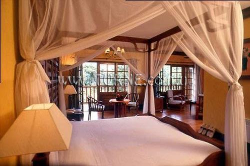 Victoria Sapa 4* суреті