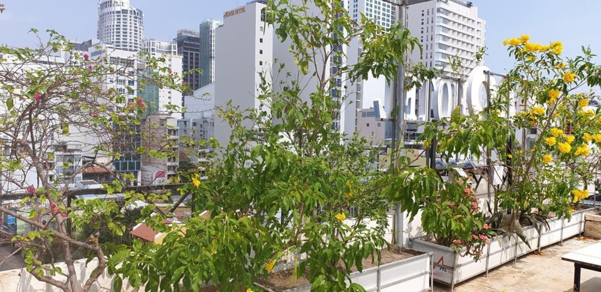 Ximao Hotel Nha Trang by Zuzu 3* қонақ үйі