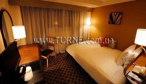 Ginza Nikko 4* суреті