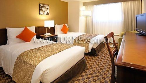 Ginza Nikko 4* фотосуреті