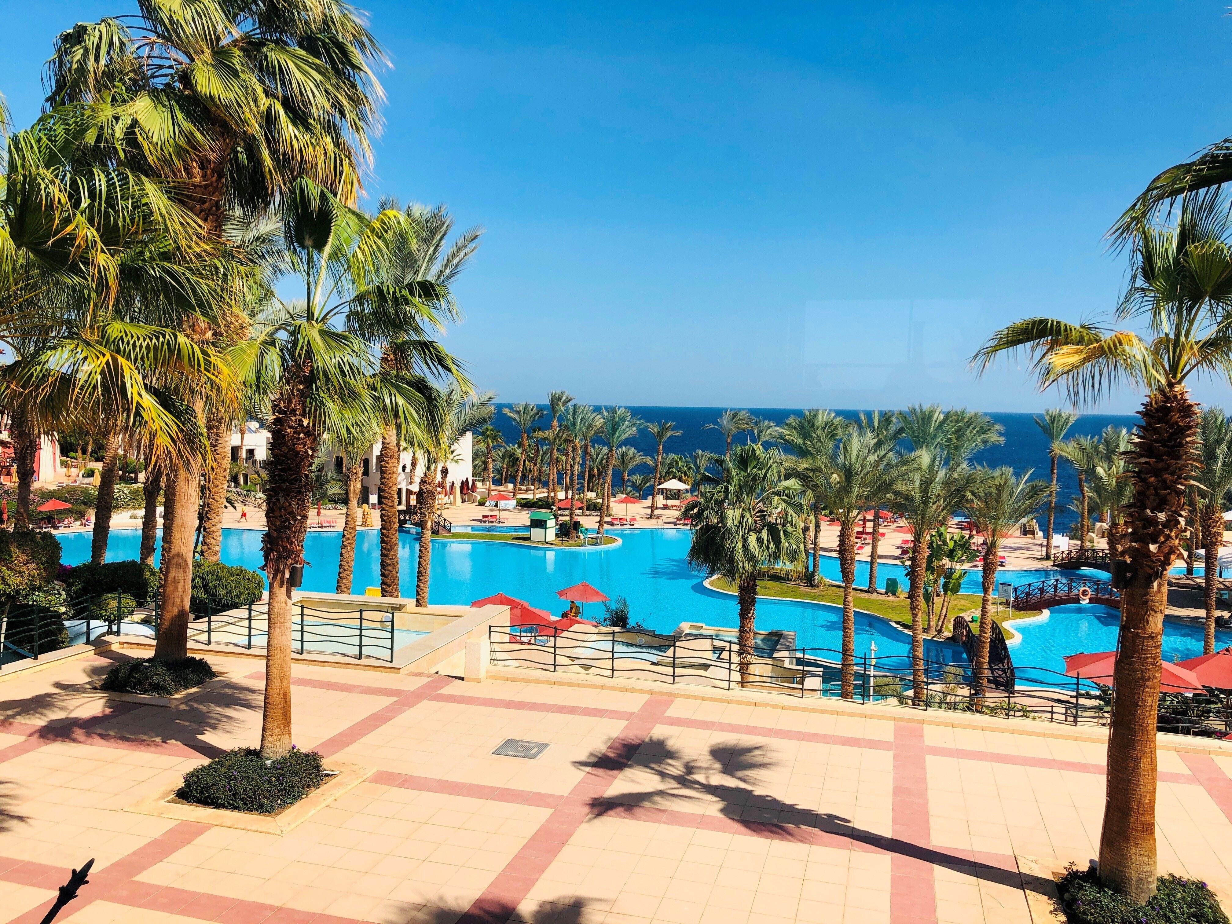 Отель grand rotana resort & spa 5. Отель гранд ротана. Отель grand rotana resort spa 5 шарм-эль-шейх египет. Отель гранд ротана резорт шарм-эль-шейх. Египет шарм-эль-шейх отель гранд ротана.