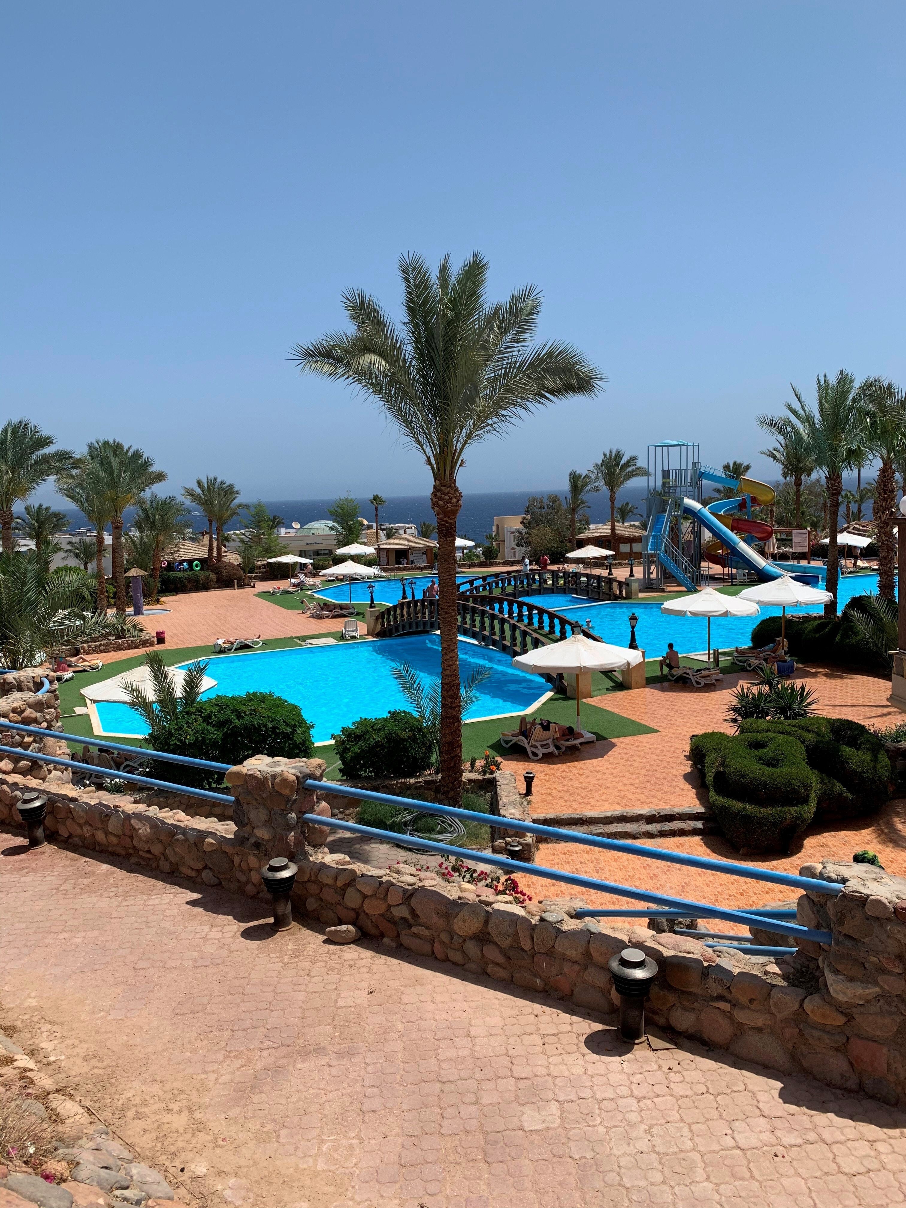 Queen sharm resort beach отзывы