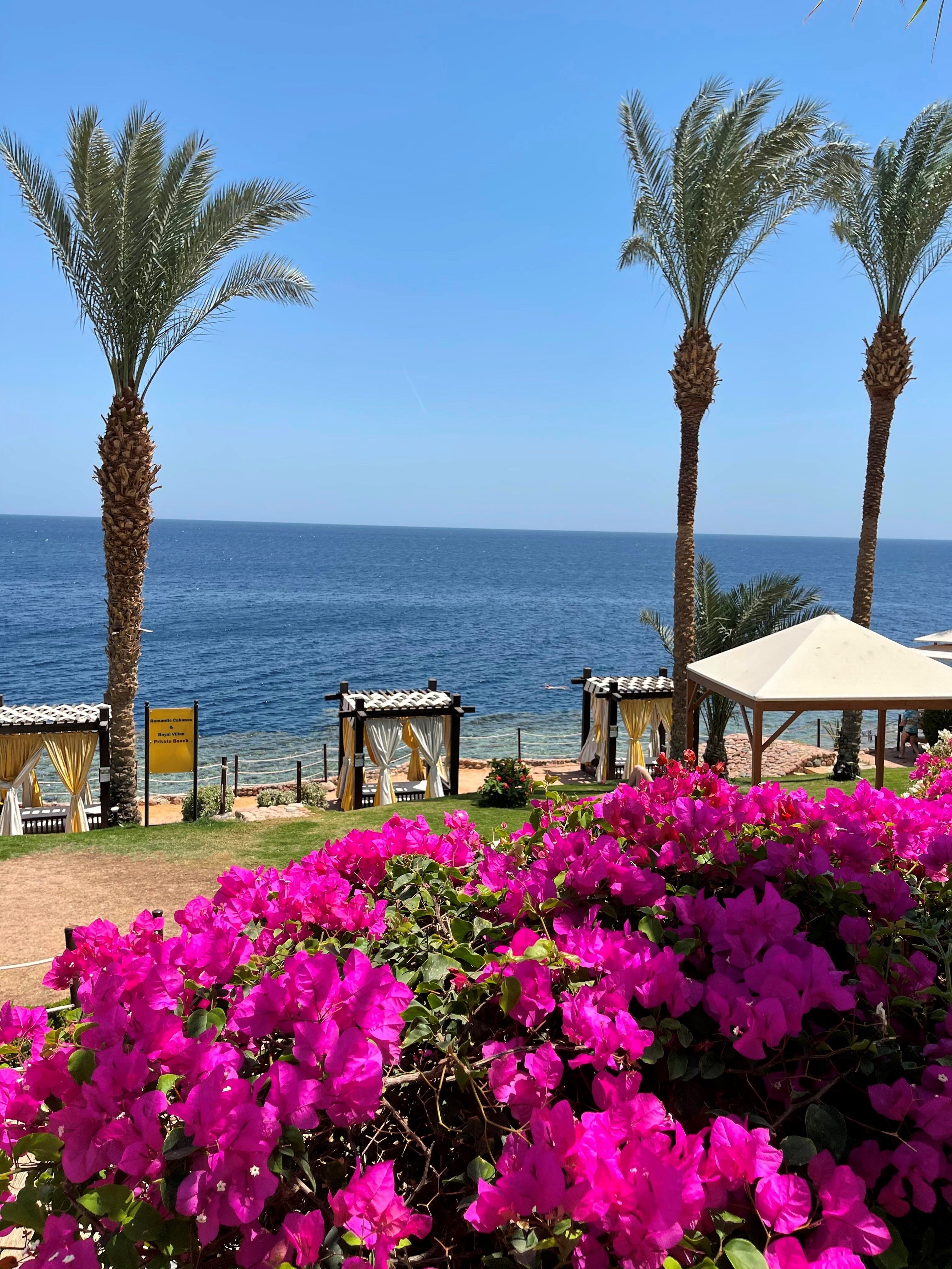Grand rotana тур. Отель grand rotana resort & spa 5. Grand rotana resort spa 5. Grand rotana тур. Гранд ротана шарм-эль-шейх 5.