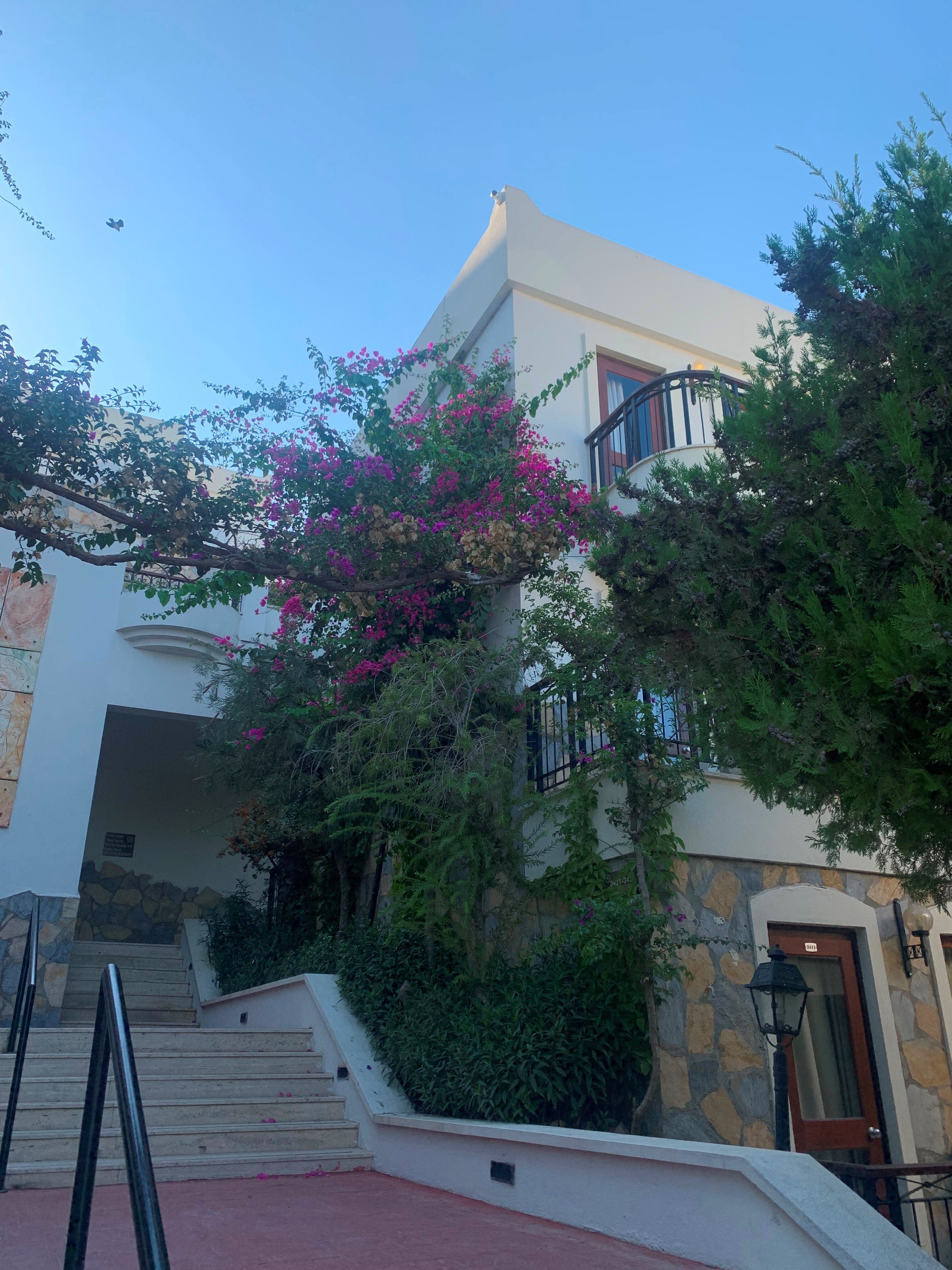 Asteria Bodrum Resort вечеринки