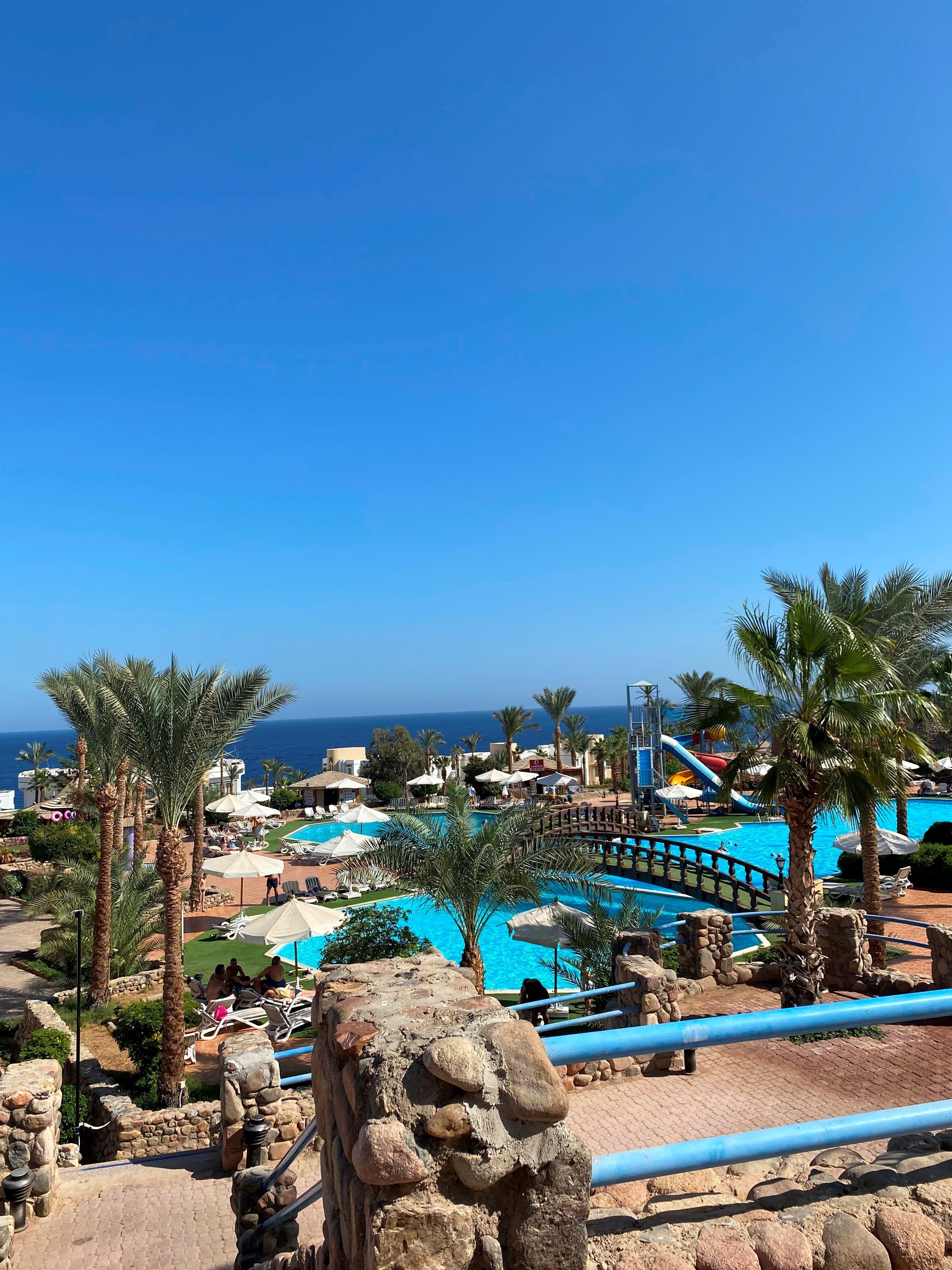 Queen sharm resort beach отзывы