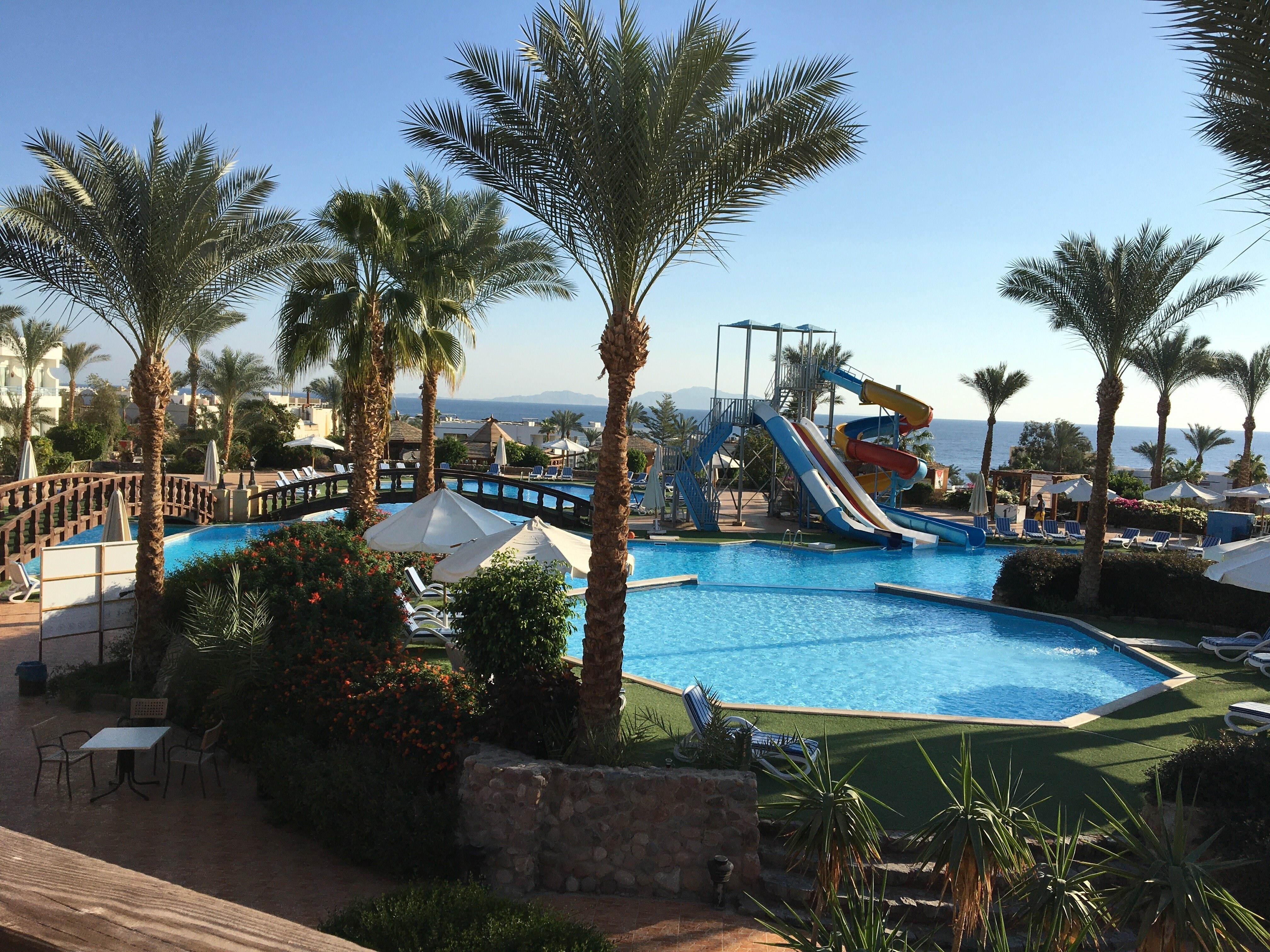 Queen sharm resort beach отзывы