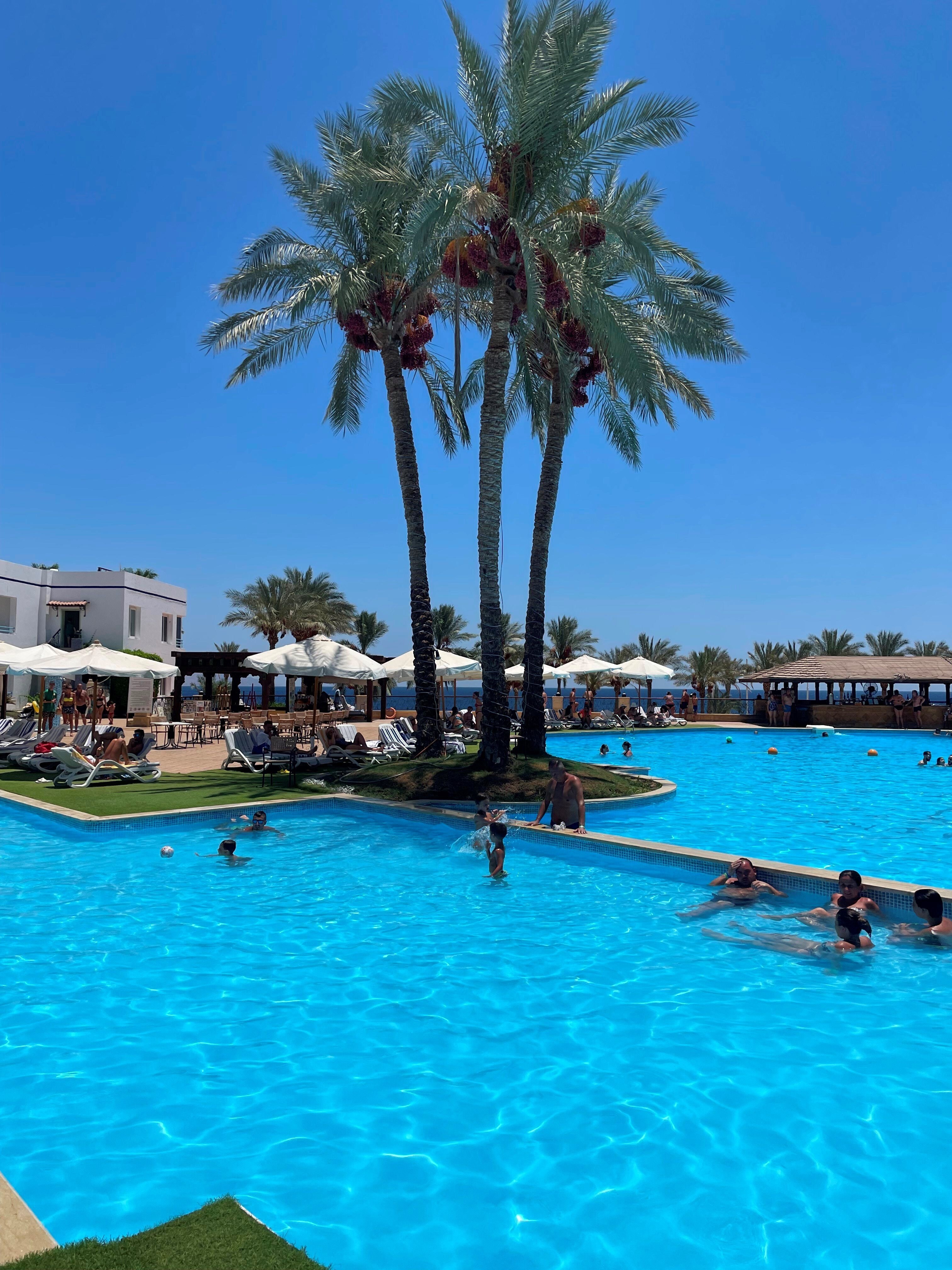 Sharm club beach 4