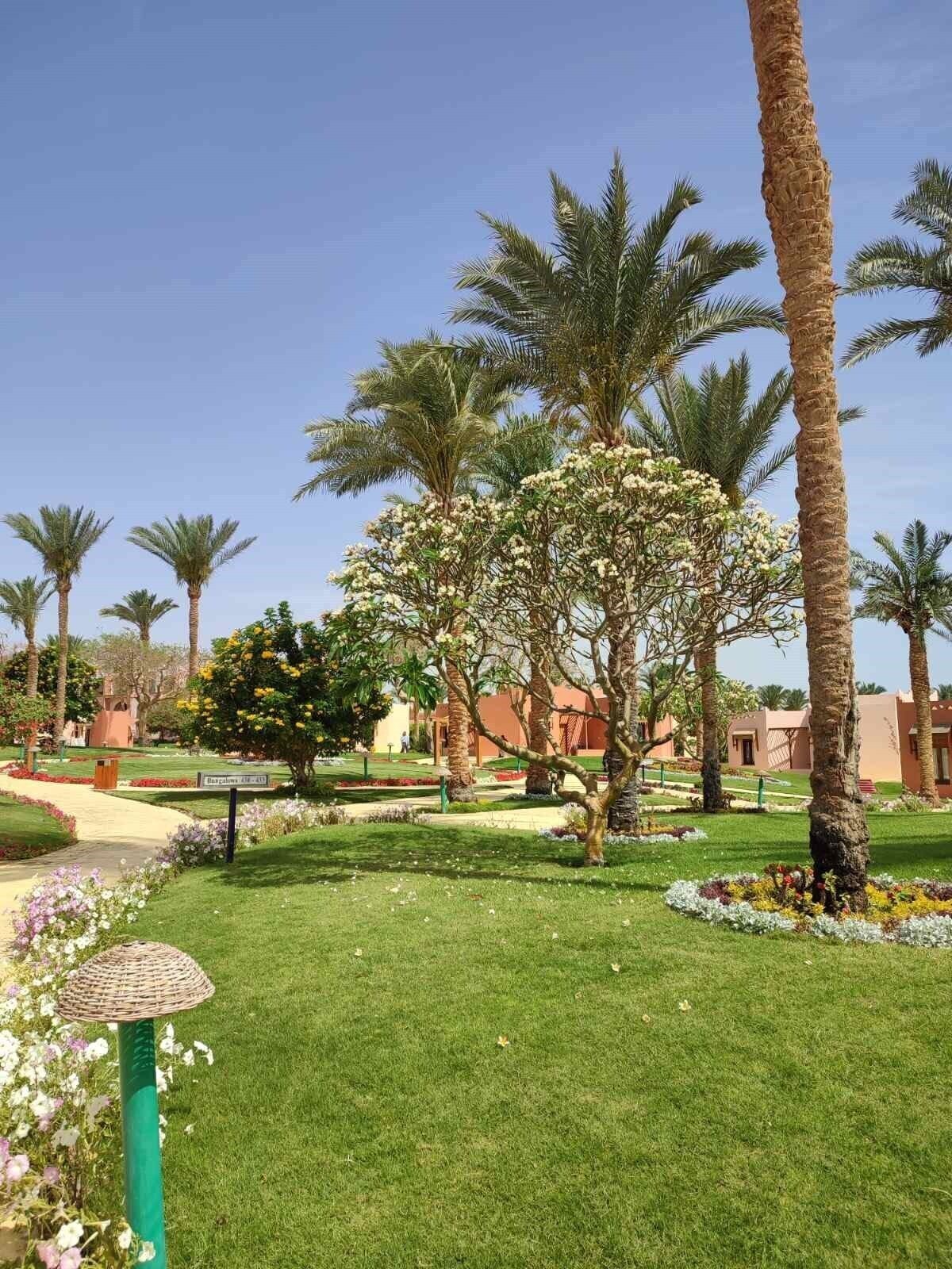 Отель Nubian Island Hotel 5 Фото Отзывы